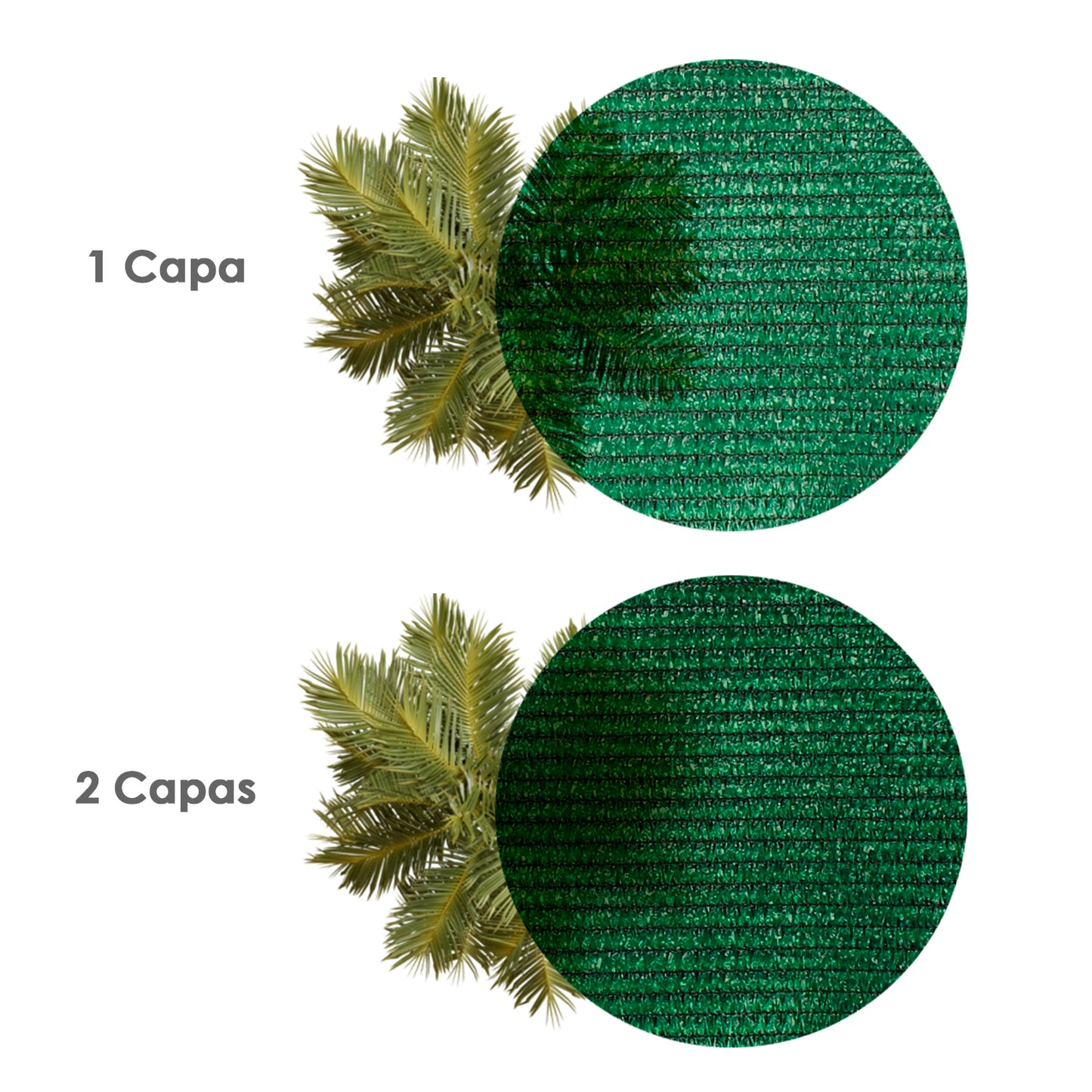 Malla Sombreo Rollo 3 x 50 metros, Reduce Radiación, Protección Jardín y Terraza, Regula Temperatura, Color Verde Claro