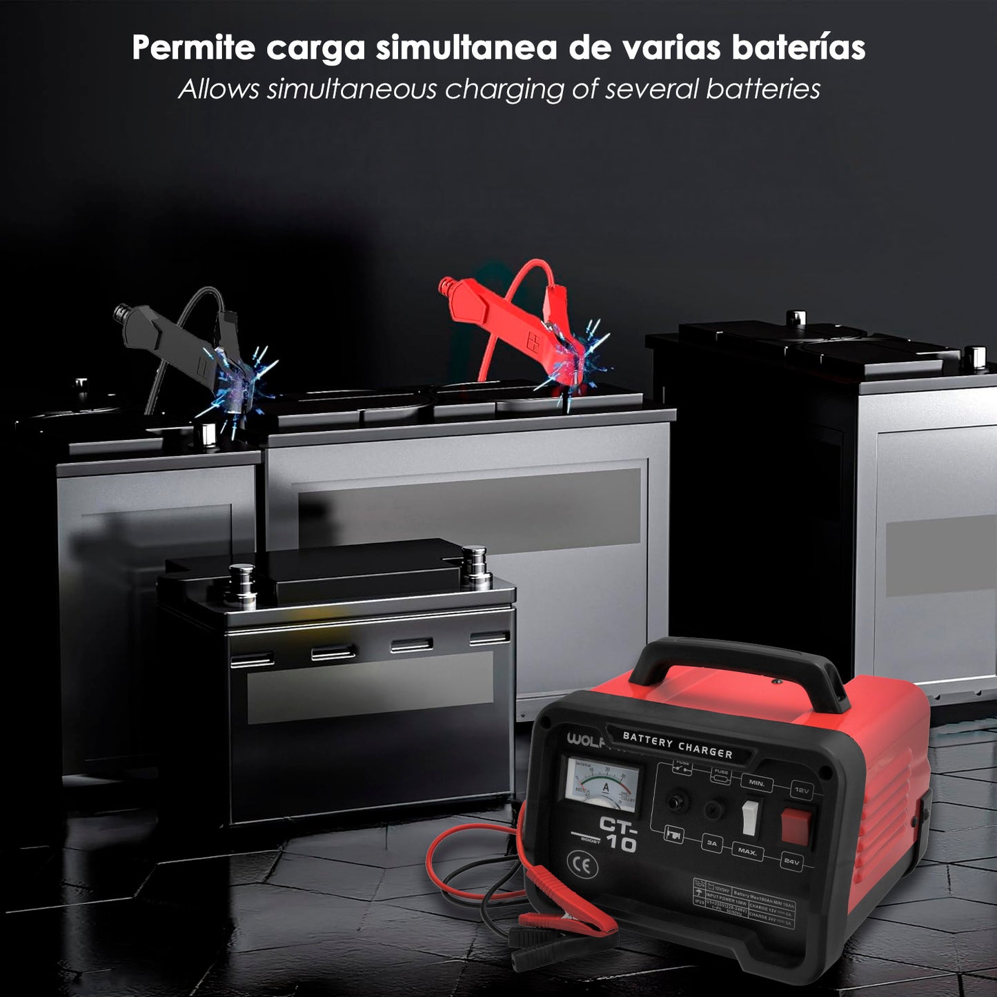 Carga Baterias 12/24V 10-100Ah