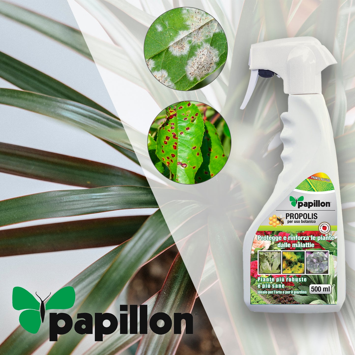 Propoleo Para Hongos y Bacterias 500 ml. Propolis, Fungicida Ecologico, Propoleo de abeja, (Permitido en agricultura ecologica)