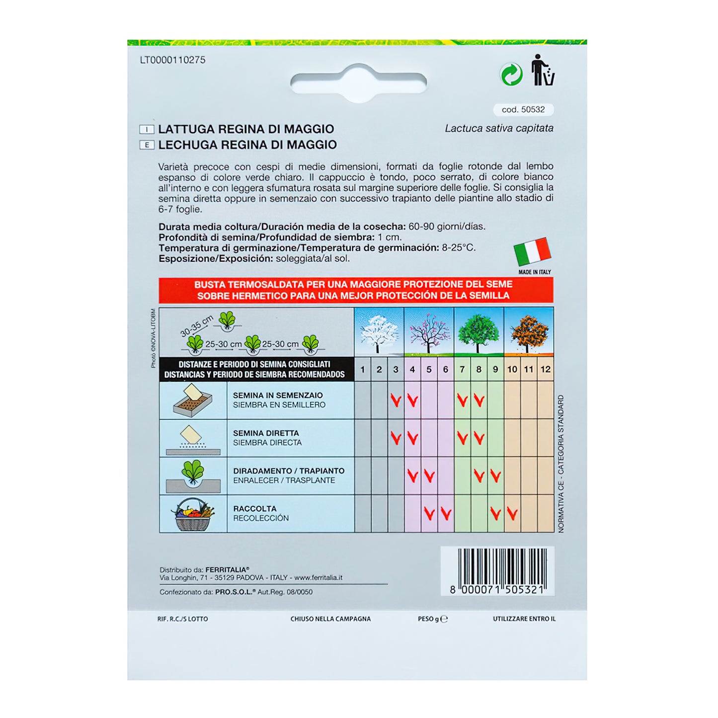 Sementes de Alface Rainha de Maio (7 gramas) Sementes de Hortaliças, Horticultura, Horticultura, Sementes de Jardim.