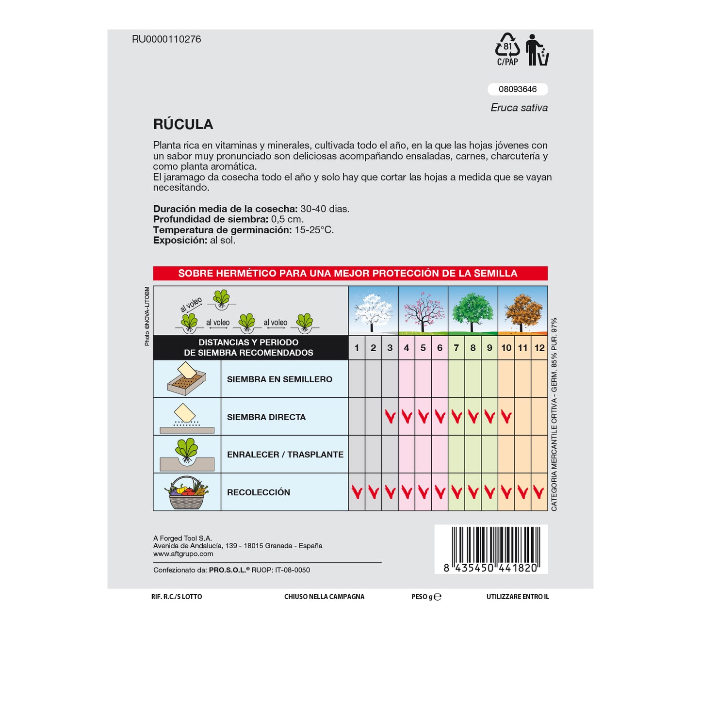 Sementes de Rúcula (9 gramas) Sementes de Hortaliças, Horticultura, Horticultura, Sementes de Pomar.
