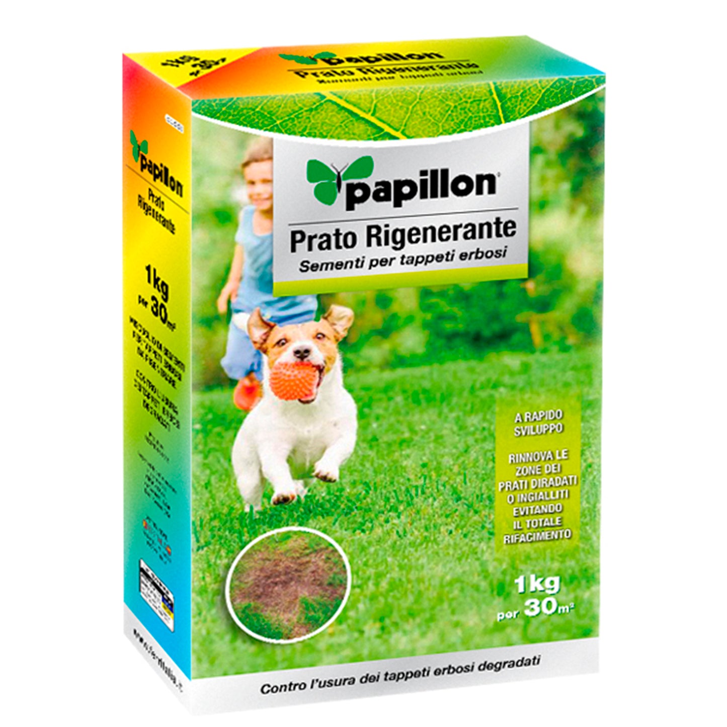 Sementes de Repovoamento de Grama 1 Kg.