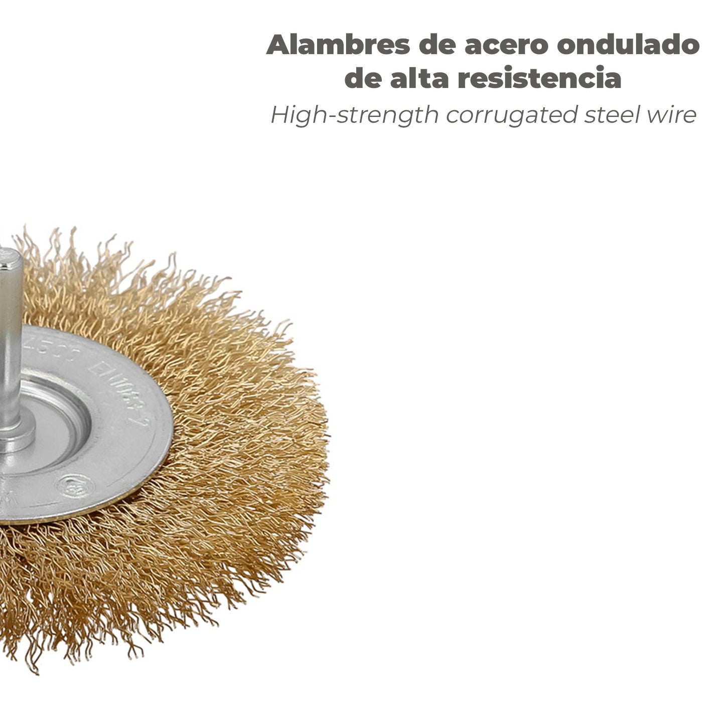 Cepillo Acero Latonado Para Taladro. Disco Ø 100 mm. Espiga 1/4" Cepillo Taladro Alambre Latón, Cepillo Limpieza, Cepillo Pulir.