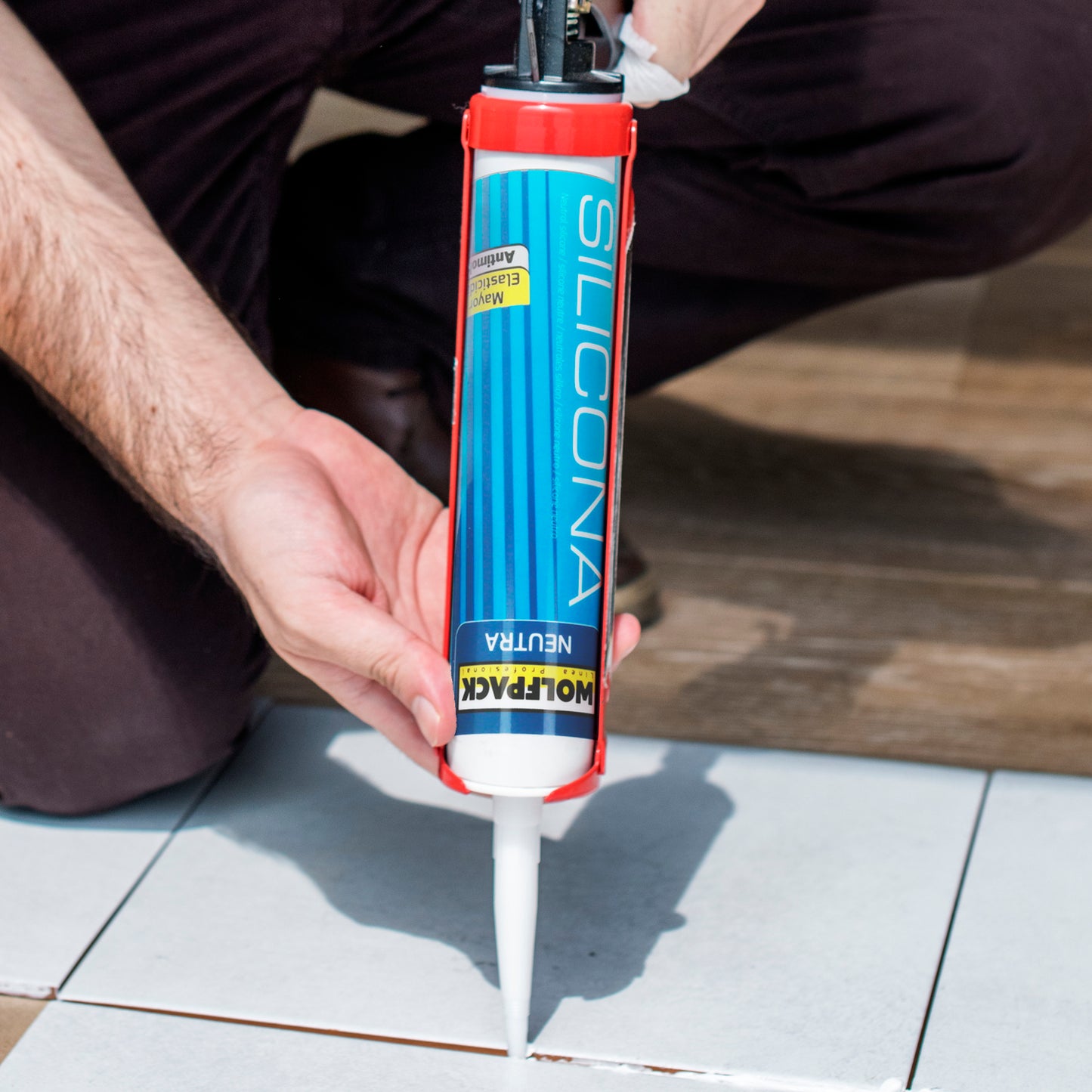 Silicone Neutro Transparente 310 cm³.