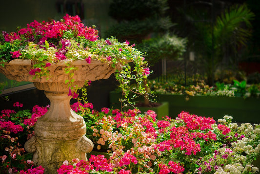 Jardín con flores