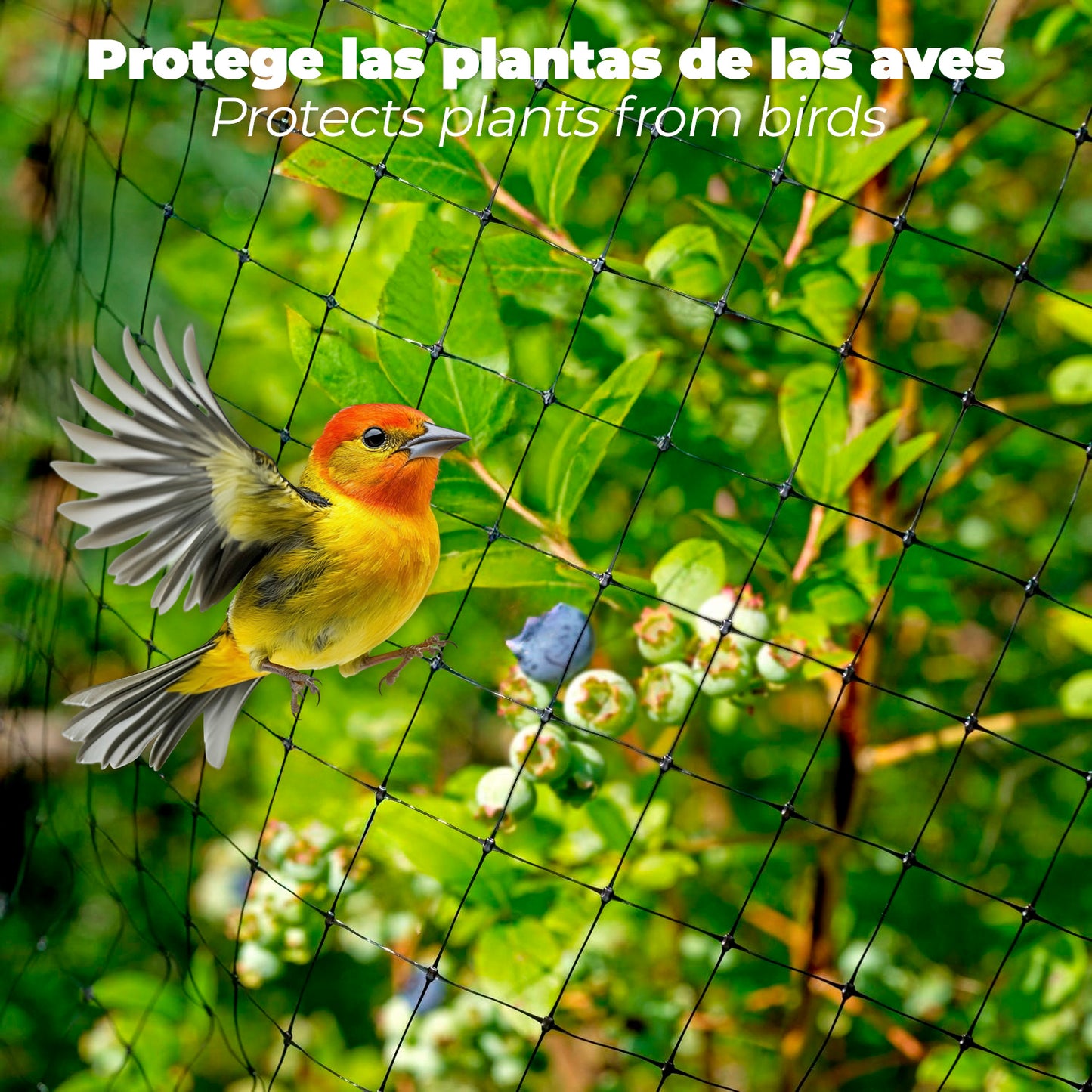 Malla Protectora Avicola BOP 16 x 16 mm. 50 gramos/m2. 1m. x 10 m.