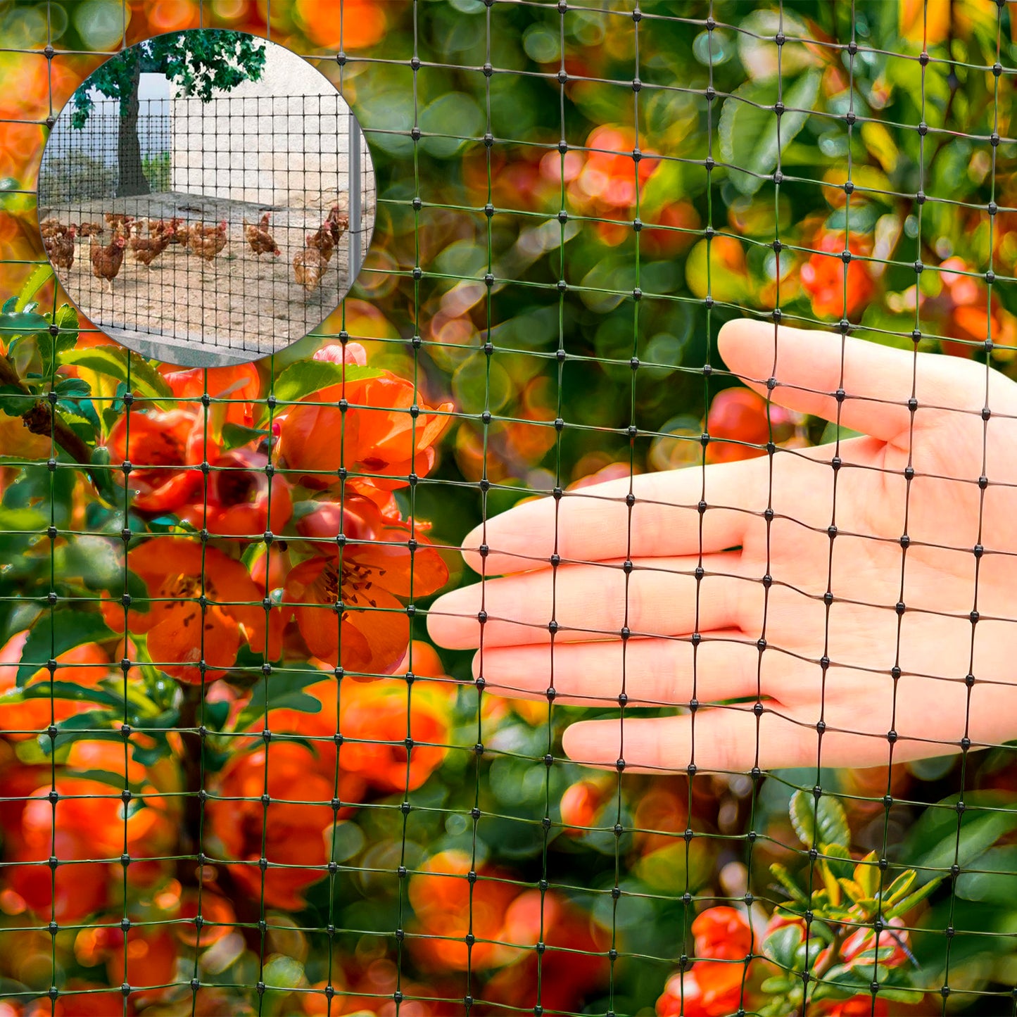 Malla Protectora Avicola BOP 16 x 16 mm. 50 gramos/m2. 1m. x 10 m.