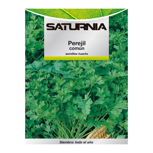 Sementes de Salsa Comum (8 gramas) Sementes de Hortaliças, Horticultura, Horticultura, Sementes de Jardim.