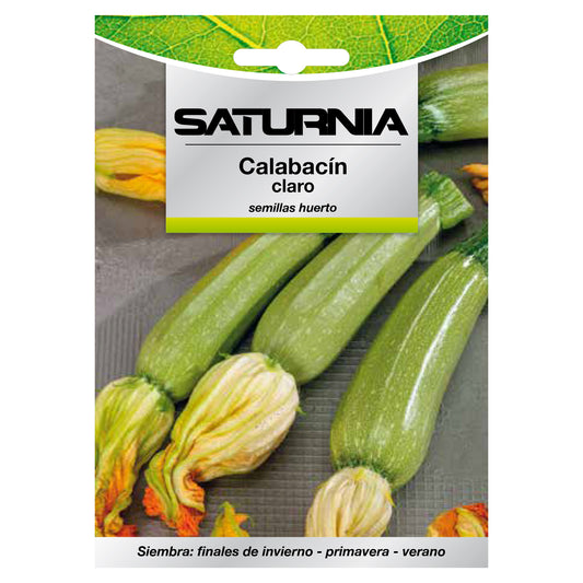 Semillas Calabacin Claro (5 gramos) Semillas Verduras, Horticultura, Horticola, Semillas Huerto.