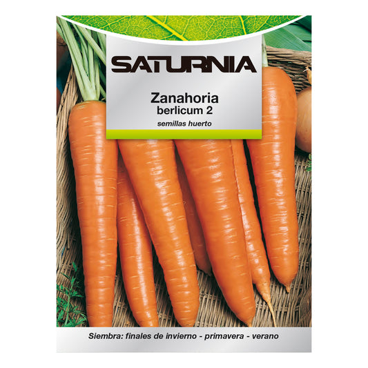 Horta Cenoura Berlicum Sementes