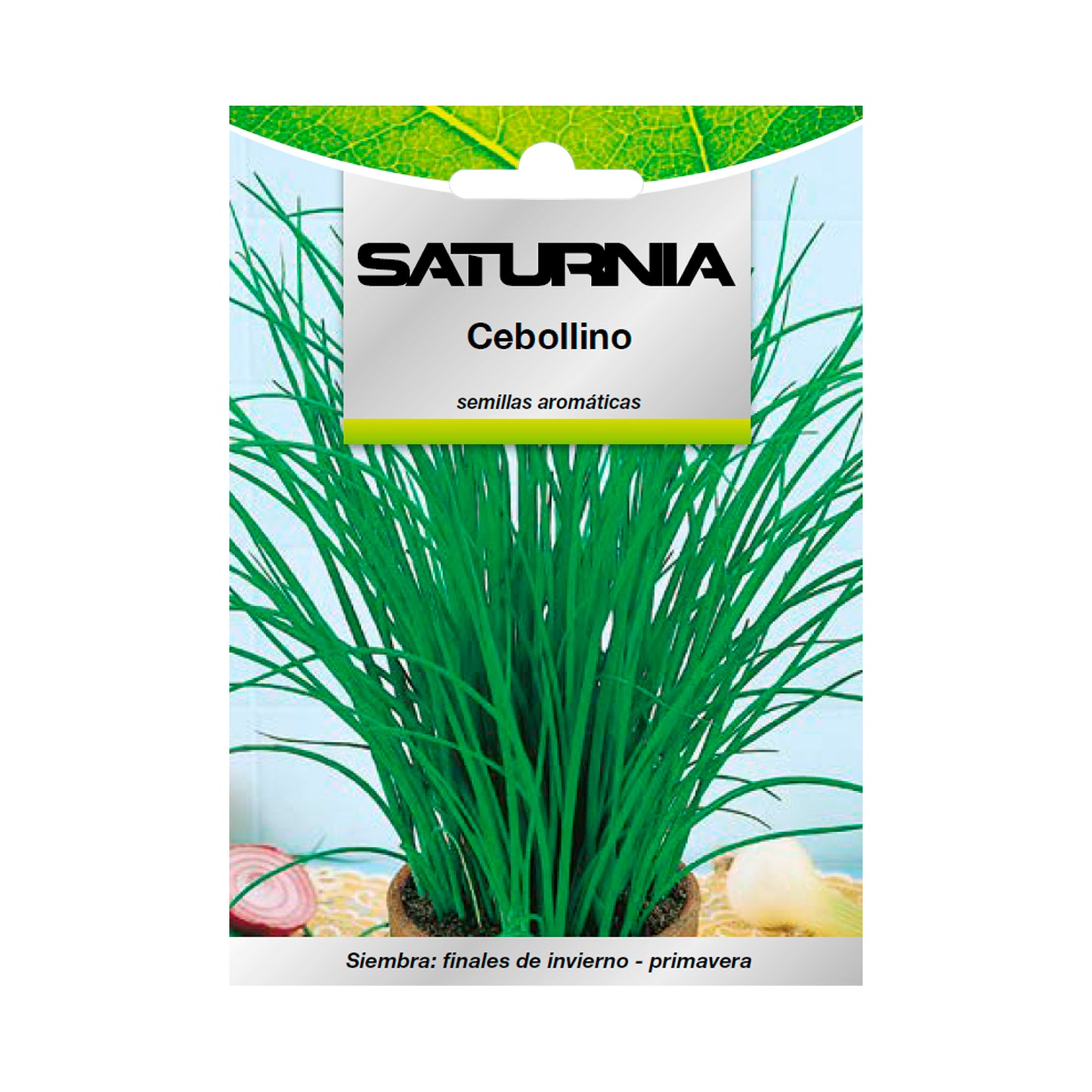 Semillas Aromaticas Cebollino (1 gramo) Horticultura, Horticola, Semillas Huerto.
