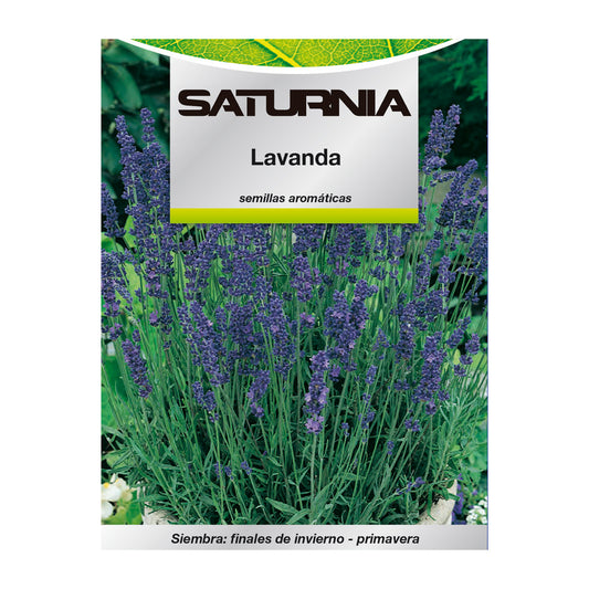 Sementes de Lavanda Aromáticas (0,5 gramas) Horticultura, Horticultura, Sementes de Jardim.
