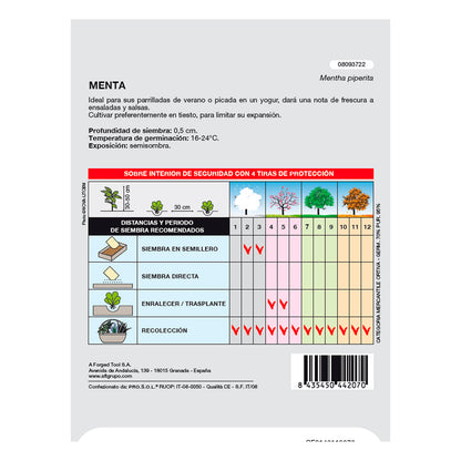 Semillas Aromaticas Menta (0.3 gramos) Horticultura, Horticola, Semillas Huerto.