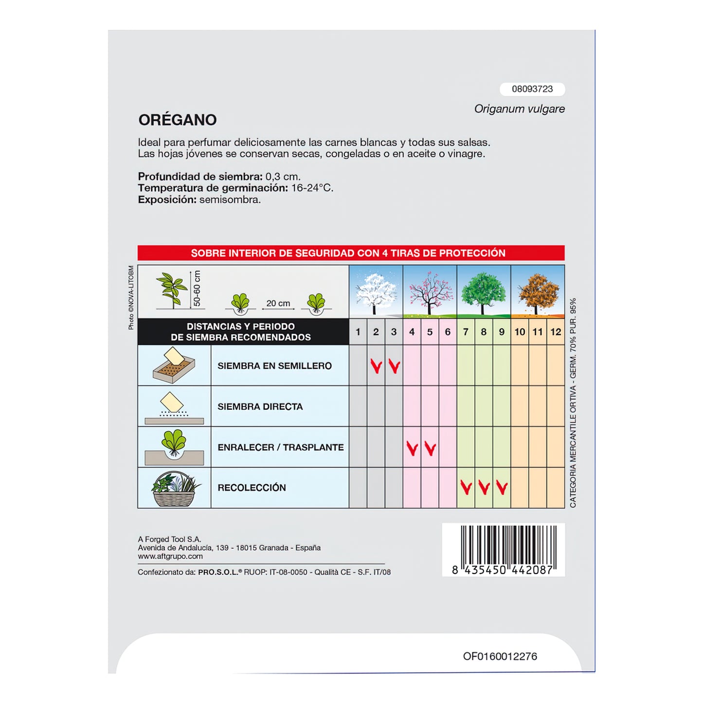 Sementes Aromáticas de Orégano (0,3 gramas) Horticultura, Horticultura, Sementes de Pomar.