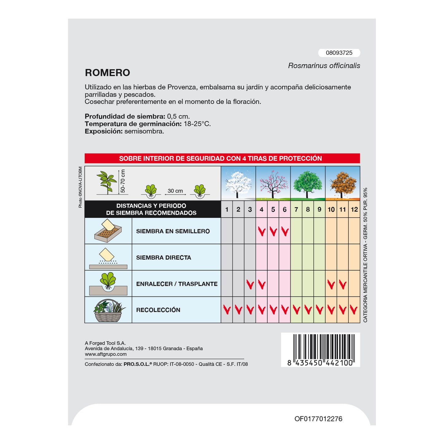 Sementes Aromáticas de Alecrim (0,1 gramas) Horticultura, Horticultura, Sementes de Pomar.