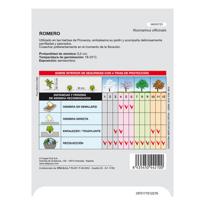 Sementes Aromáticas de Alecrim (0,1 gramas) Horticultura, Horticultura, Sementes de Pomar.