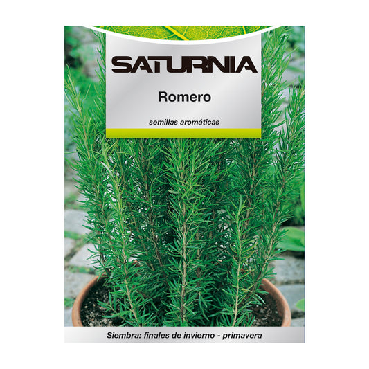 Sementes Aromáticas de Alecrim (0,1 gramas) Horticultura, Horticultura, Sementes de Pomar.