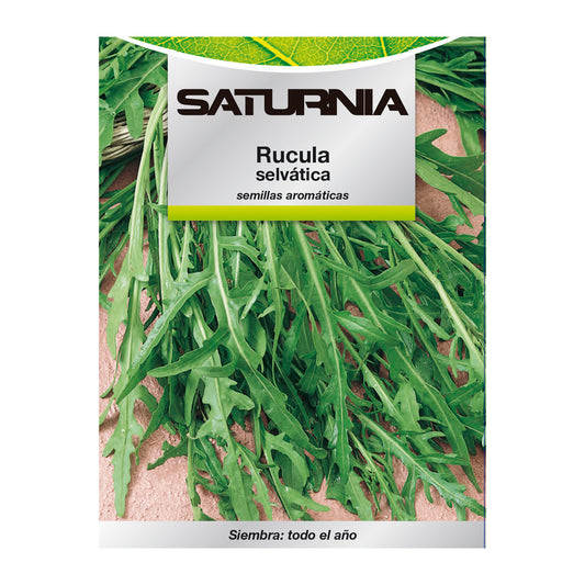 Sementes de Rucula Selvatica Aromáticas (2,5 gramas) Horticultura, Horticultura, Sementes de Pomar.