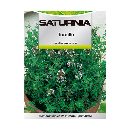Sementes de Tomilho Aromático (1 grama) Horticultura, Horticultura, Sementes de Pomar.