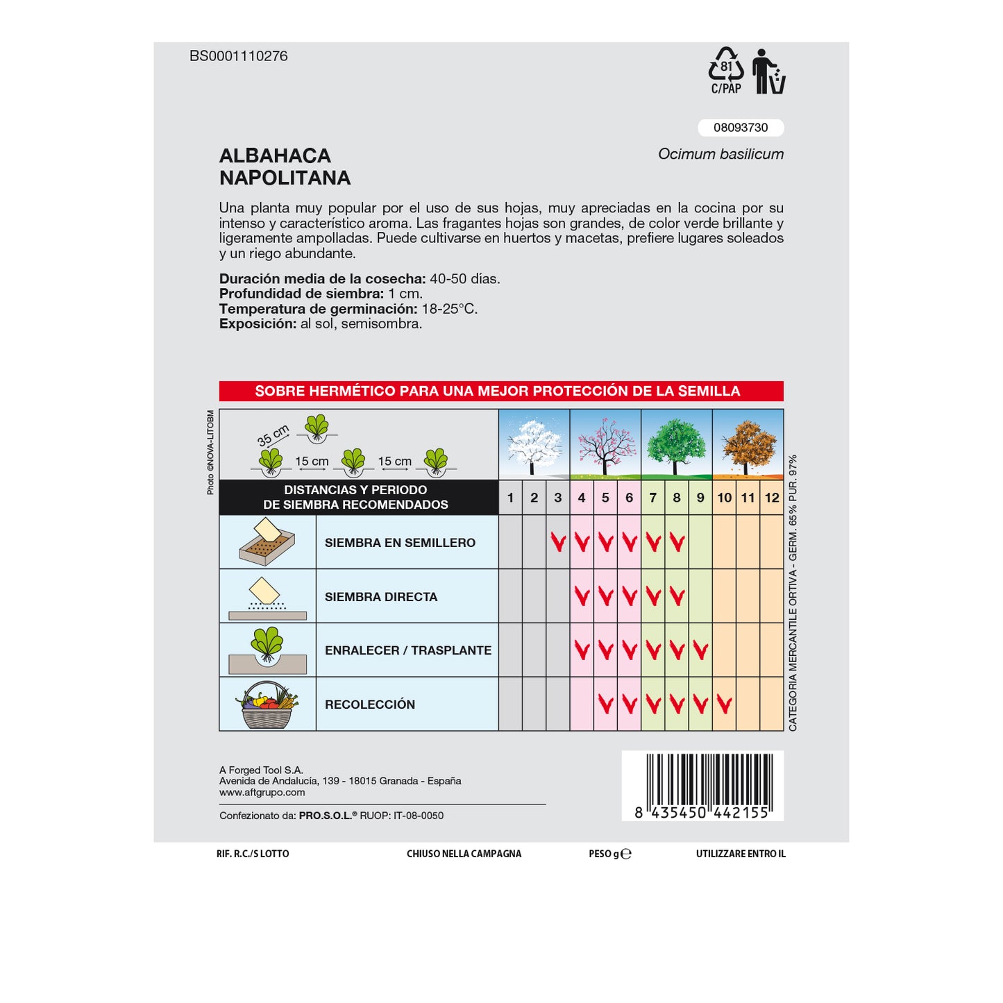 Sementes Aromáticas de Manjericão Gigante (5 gramas) Horticultura, Horticultura, Sementes de Jardim.