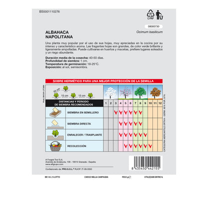Sementes Aromáticas de Manjericão Gigante (5 gramas) Horticultura, Horticultura, Sementes de Jardim.