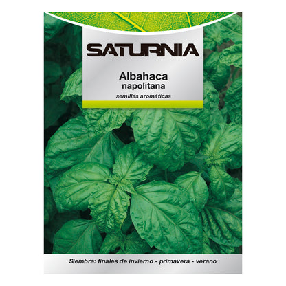 Sementes Aromáticas de Manjericão Gigante (5 gramas) Horticultura, Horticultura, Sementes de Jardim.