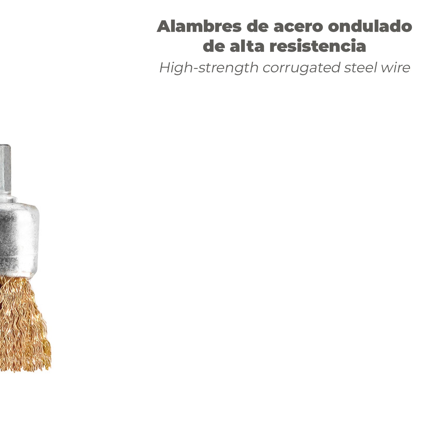 Escova de aço banhada em latão 25 mm. 1/4"