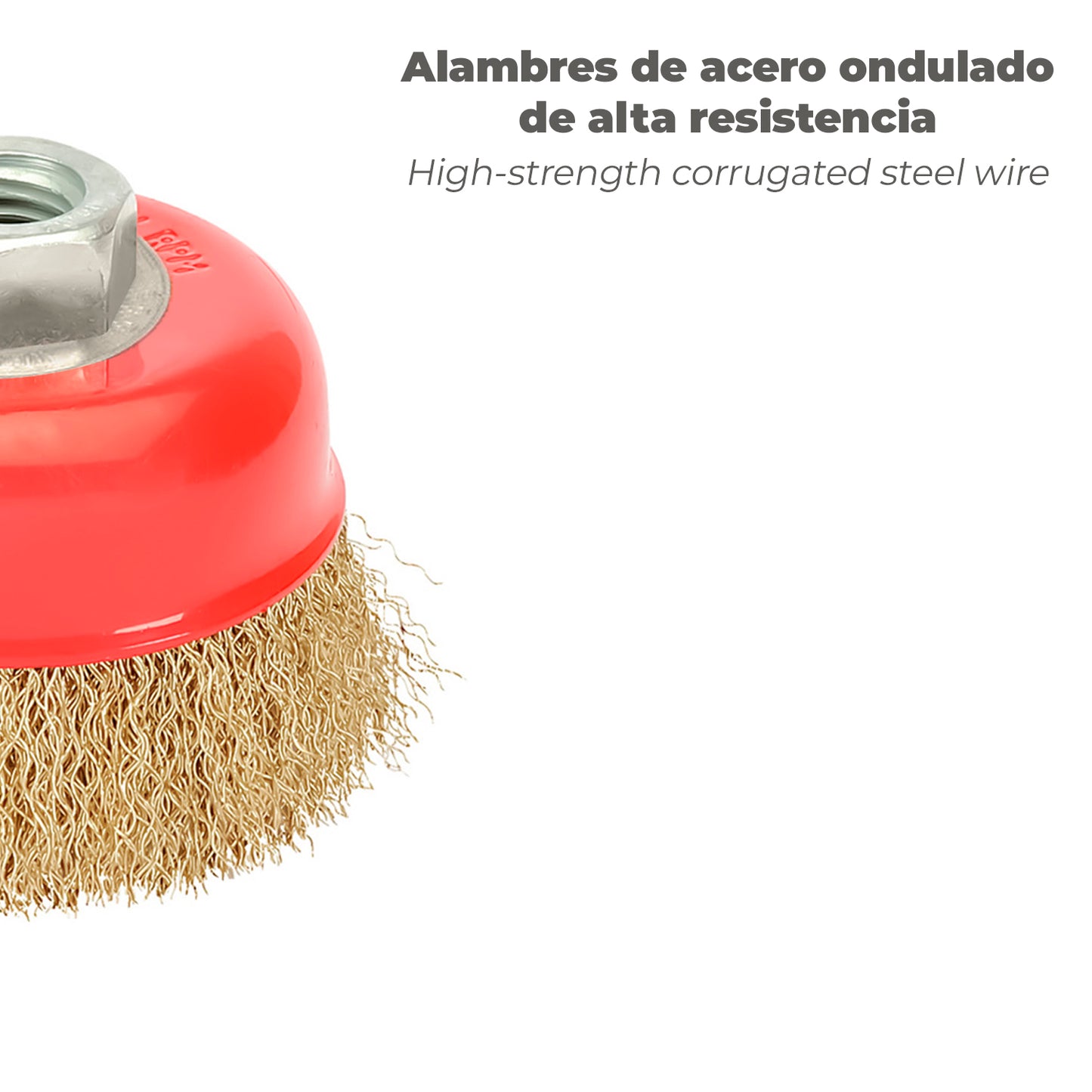 Cepillo Taza Con Alambre De Acero Latonado Rosca M14, Ø 65 mm. Alambre de Ø 0,30 mm.