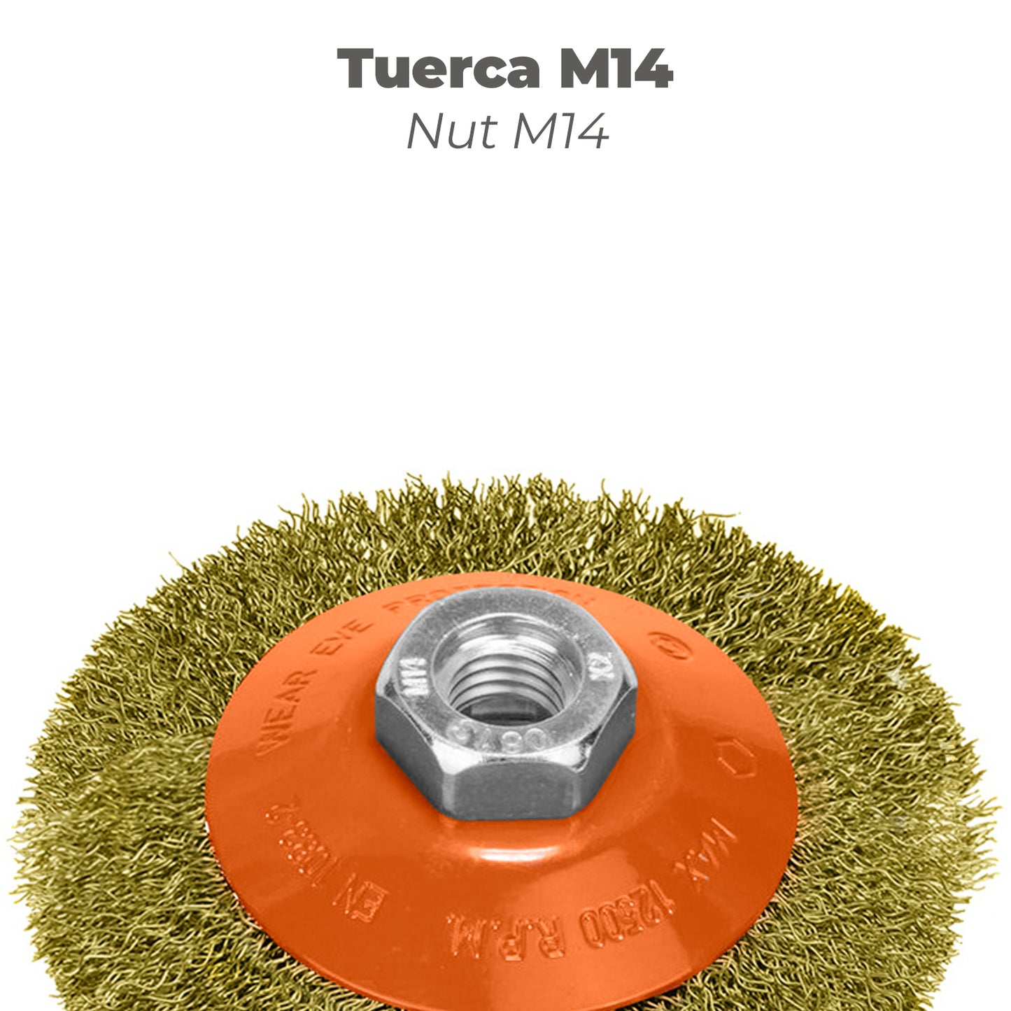 Escova Oblíqua Com Fio De Aço Latão Rosca M14, Ø 100 mm. Fio de Ø 0,30 mm.