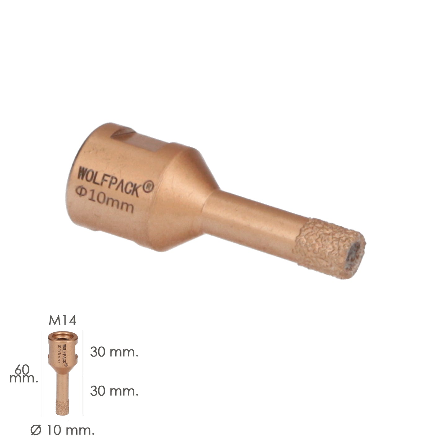 Corona Diamante Para Amoladora Ø 10 mm. Conexión Rosca M14. Corte Seco