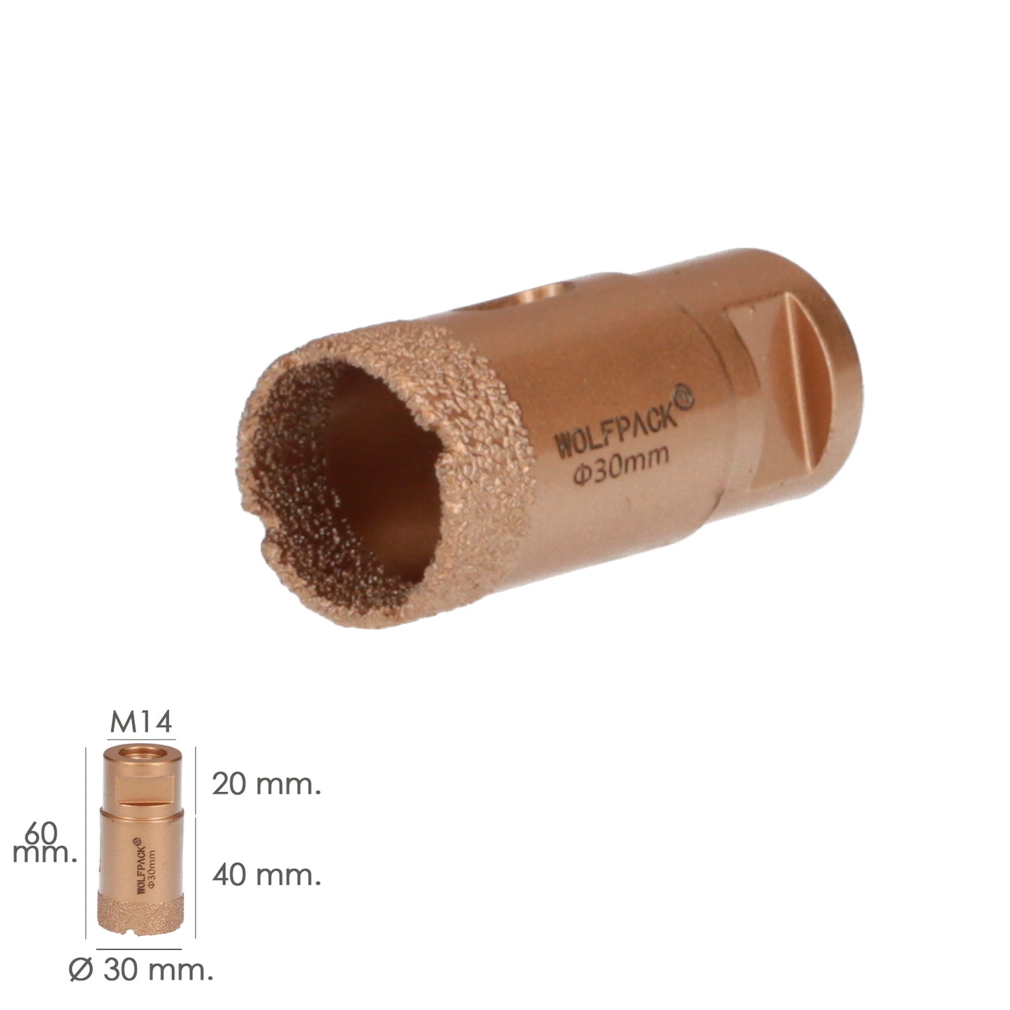 Coroa de Diamante para Rebarbadora Ø 30 mm. Conexão de rosca M14. Corte Seco