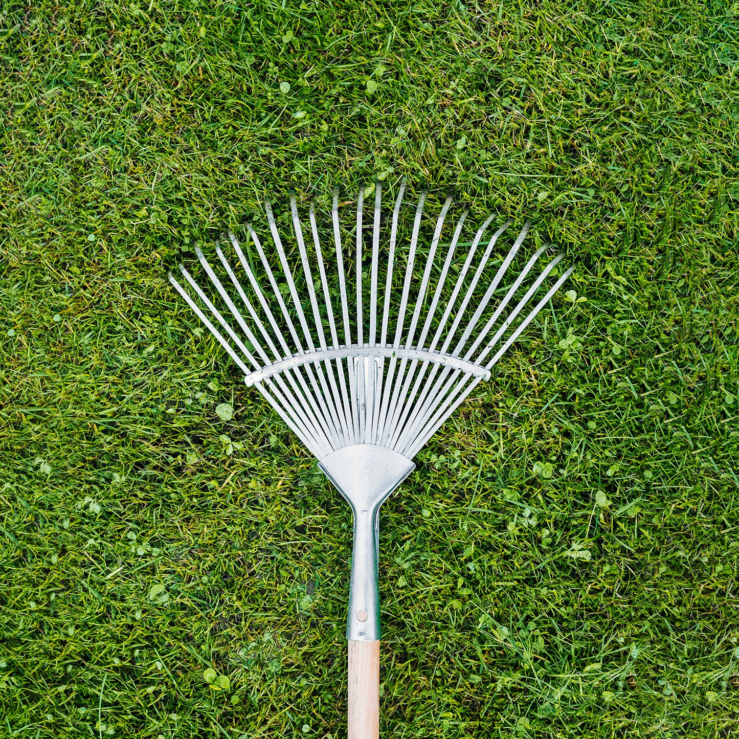 Rastrillo Metalico Para Jardin Ancho Regulable 31,5 A 43,5 cm. rastrillo Hojas, Cepillo Jardin, Escoba Metalica, Escoba Jardin